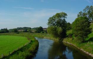 Trave bei Lokfeld/Stormarn