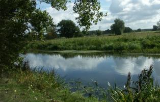 Natura Trail im FFH-Gebiet "Nuthe", Potsdam Natura Trail FFH-Gebiet Nuthe, Potsdam